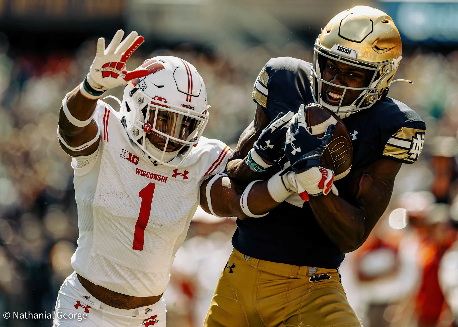 A Notre Dame receiver in a gold helmet pulls the ball into his chest as Wisconsin's number 1, in white, reaches around him with one hand raised.